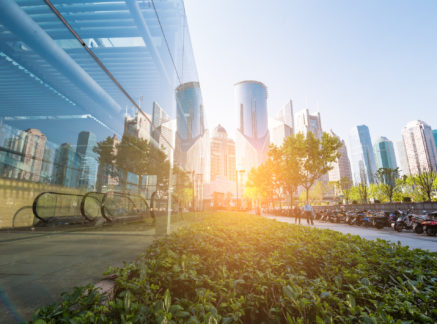 Meeting the green skills need