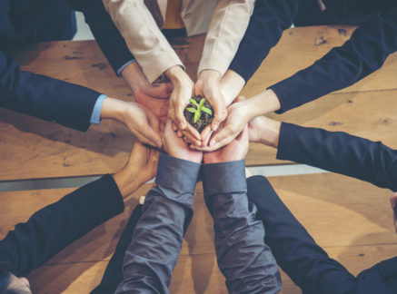 Become a Green Rep