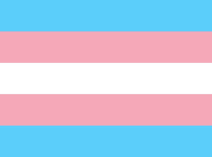 Remembering our trans members
