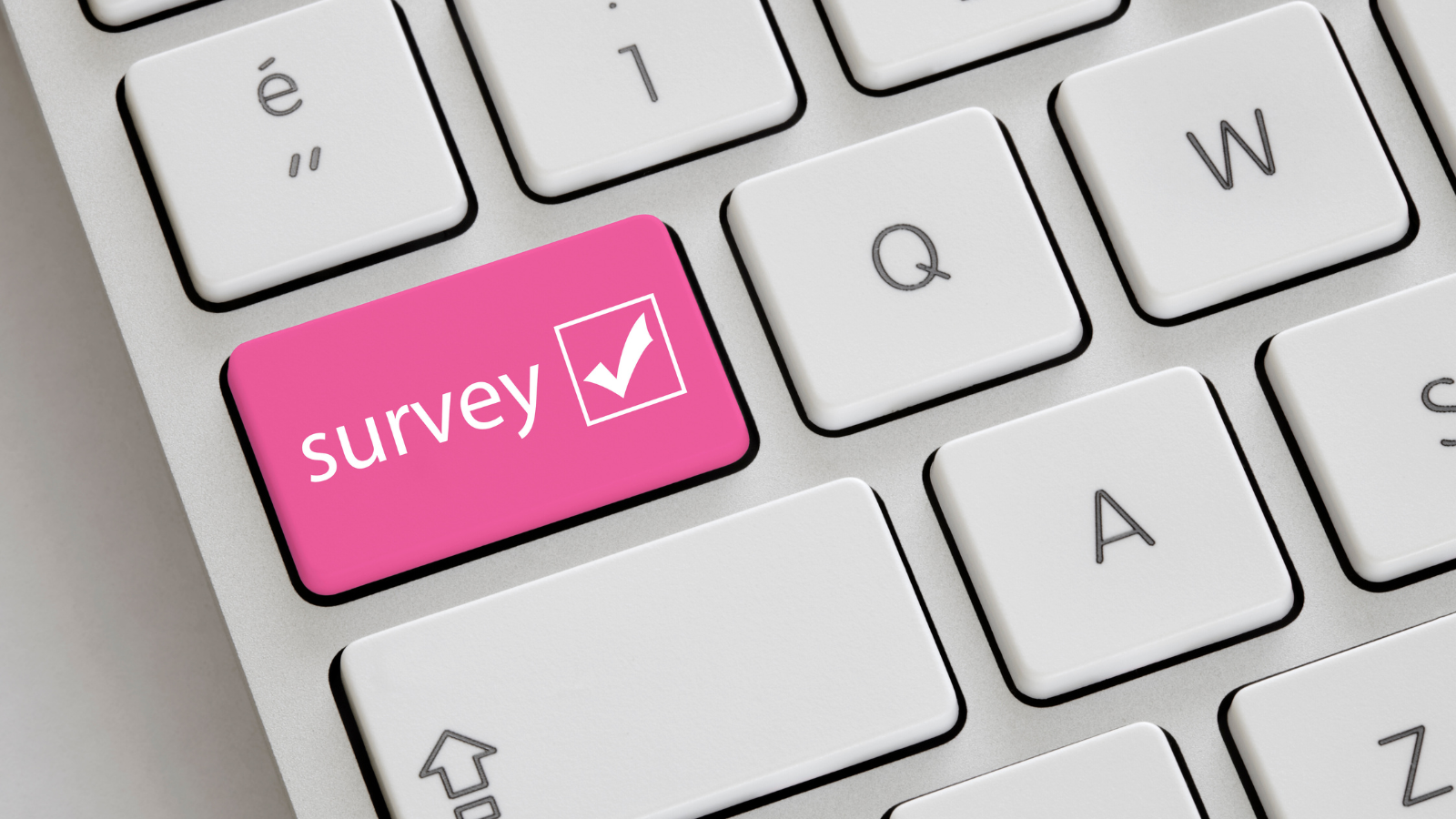 How to use surveys to effectively transform your union branch ...